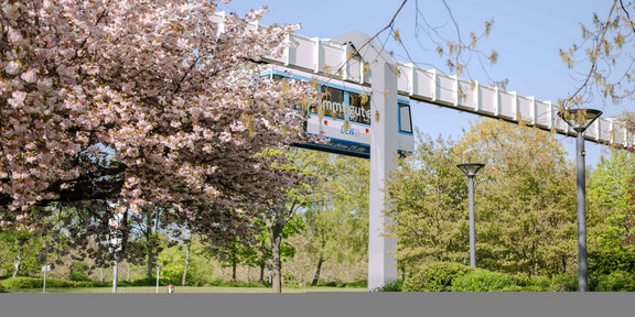 TU im Frühling_10 H-Bahn Linie umgeben von blühenden Bäumen.